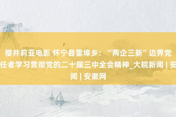 樱井莉亚电影 怀宁县雷埠乡：“两企三新”边界党建责任者学习贯彻党的二十届三中全会精神_大皖新闻 | 安徽网