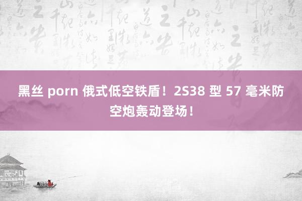 黑丝 porn 俄式低空铁盾！2S38 型 57 毫米防空炮轰动登场！