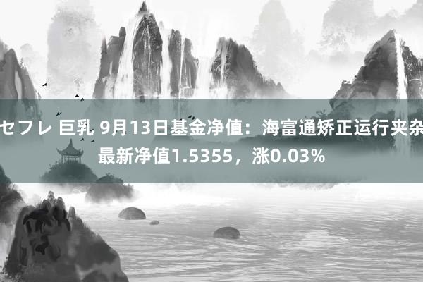 セフレ 巨乳 9月13日基金净值：海富通矫正运行夹杂最新净值1.5355，涨0.03%