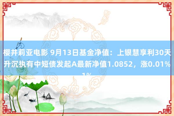 樱井莉亚电影 9月13日基金净值：上银慧享利30天升沉执有中短债发起A最新净值1.0852，涨0.01%