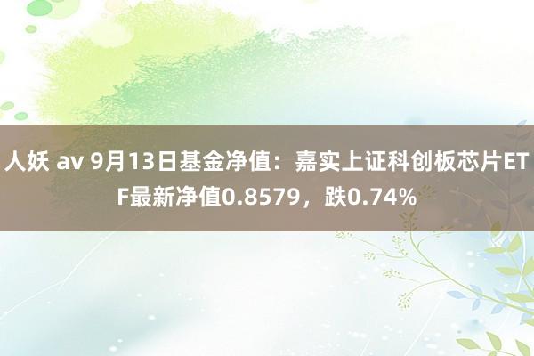 人妖 av 9月13日基金净值：嘉实上证科创板芯片ETF最新净值0.8579，跌0.74%