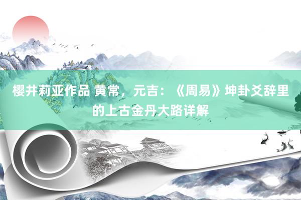 樱井莉亚作品 黄常，元吉：《周易》坤卦爻辞里的上古金丹大路详解