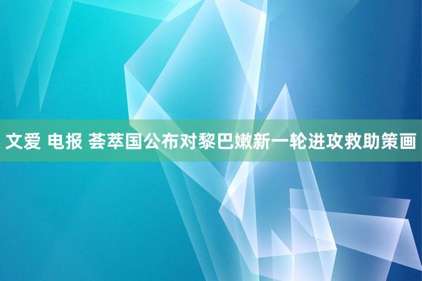 文爱 电报 荟萃国公布对黎巴嫩新一轮进攻救助策画