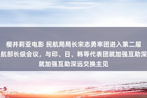 樱井莉亚电影 民航局局长宋志勇率团进入第二届亚太地区民航部长级会议，与印、日、韩等代表团就加强互助深远交换主见