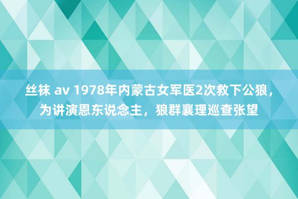 丝袜 av 1978年内蒙古女军医2次救下公狼，为讲演恩东说念主，狼群襄理巡查张望