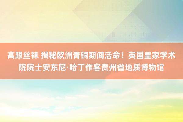 高跟丝袜 揭秘欧洲青铜期间活命！英国皇家学术院院士安东尼·哈丁作客贵州省地质博物馆