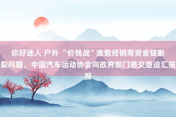 你好迷人 户外 “价钱战”激勉经销商资金链断裂问题，中国汽车运动协会向政府部门递交蹙迫汇报