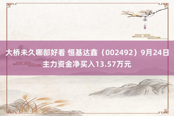 大桥未久哪部好看 恒基达鑫（002492）9月24日主力资金净买入13.57万元