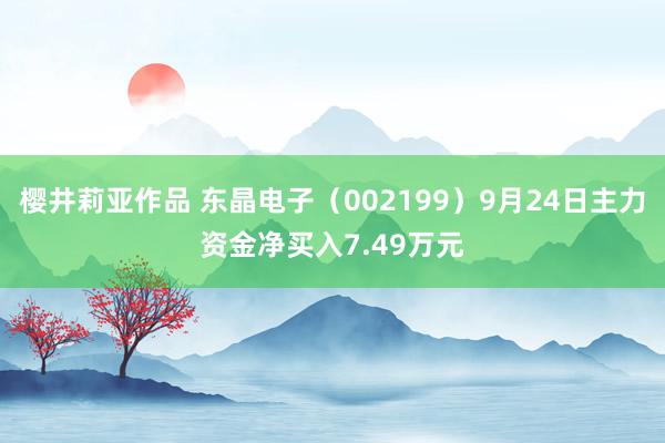 樱井莉亚作品 东晶电子（002199）9月24日主力资金净买入7.49万元