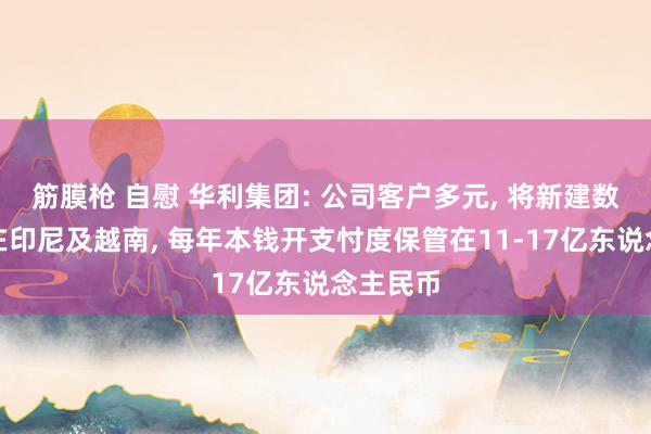 筋膜枪 自慰 华利集团: 公司客户多元, 将新建数个工场在印尼及越南, 每年本钱开支忖度保管在11-17亿东说念主民币