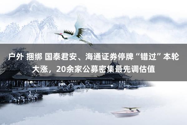 户外 捆绑 国泰君安、海通证券停牌“错过”本轮大涨，20余家公募密集最先调估值