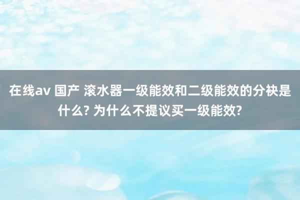 在线av 国产 滚水器一级能效和二级能效的分袂是什么? 为什么不提议买一级能效?