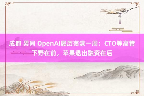 成都 男同 OpenAI履历荡漾一周：CTO等高管下野在前，苹果退出融资在后