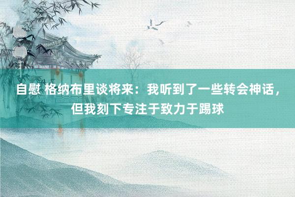 自慰 格纳布里谈将来：我听到了一些转会神话，但我刻下专注于致力于踢球