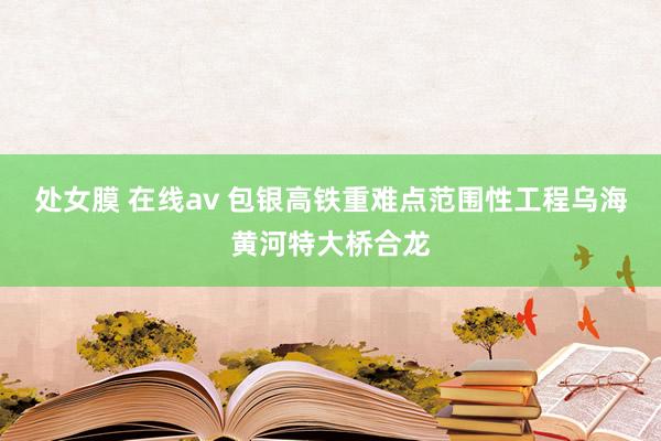 处女膜 在线av 包银高铁重难点范围性工程乌海黄河特大桥合龙