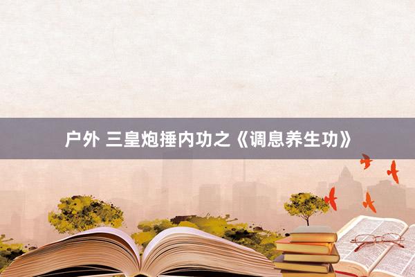 户外 三皇炮捶内功之《调息养生功》