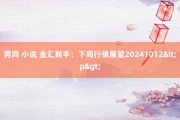 男同 小说 金汇到手：下周行情展望20241012<p>