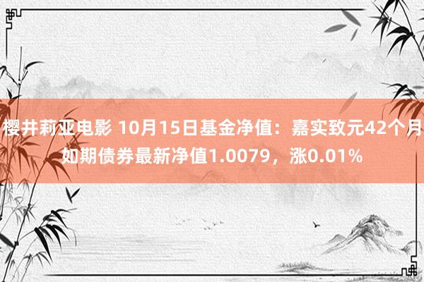 樱井莉亚电影 10月15日基金净值：嘉实致元42个月如期债券最新净值1.0079，涨0.01%