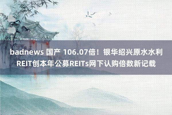 badnews 国产 106.07倍！银华绍兴原水水利REIT创本年公募REITs网下认购倍数新记载