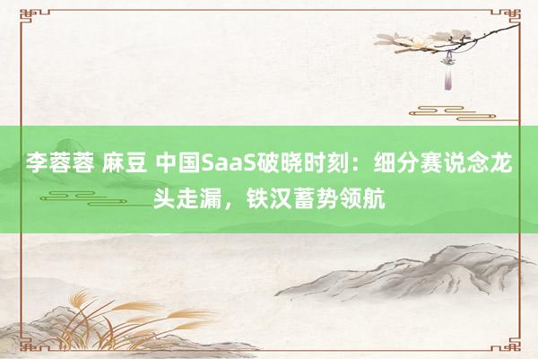 李蓉蓉 麻豆 中国SaaS破晓时刻：细分赛说念龙头走漏，铁汉蓄势领航