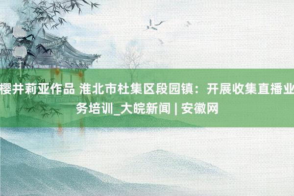 樱井莉亚作品 淮北市杜集区段园镇：开展收集直播业务培训_大皖新闻 | 安徽网