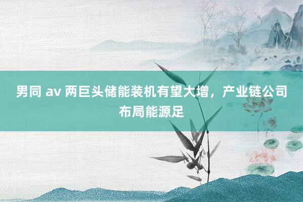 男同 av 两巨头储能装机有望大增，产业链公司布局能源足