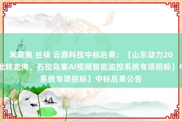 米菲兔 丝袜 云鼎科技中标后果：【山东动力2024年第十七批转龙湾、石拉乌素AI视频智能监控系统专项招标】中标后果公告