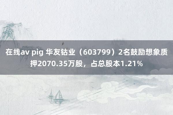 在线av pig 华友钴业（603799）2名鼓励想象质押2070.35万股，占总股本1.21%