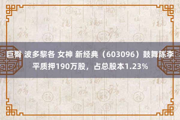 巨臀 波多黎各 女神 新经典（603096）鼓舞陈李平质押190万股，占总股本1.23%