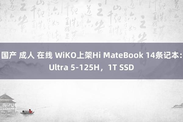 国产 成人 在线 WiKO上架Hi MateBook 14条记本：Ultra 5-125H，1T SSD