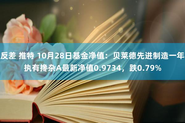 反差 推特 10月28日基金净值：贝莱德先进制造一年执有搀杂A最新净值0.9734，跌0.79%