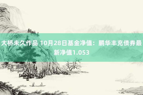 大桥未久作品 10月28日基金净值：鹏华丰充债券最新净值1.053