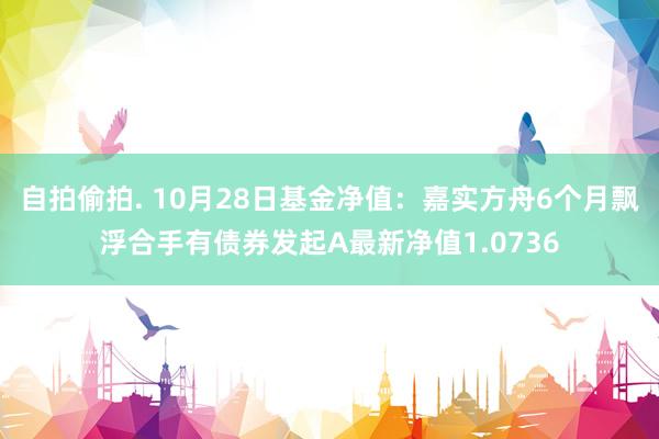 自拍偷拍. 10月28日基金净值：嘉实方舟6个月飘浮合手有债券发起A最新净值1.0736