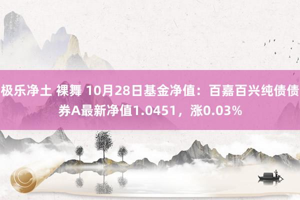 极乐净土 裸舞 10月28日基金净值：百嘉百兴纯债债券A最新净值1.0451，涨0.03%