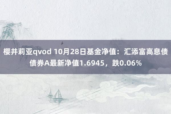 樱井莉亚qvod 10月28日基金净值：汇添富高息债债券A最新净值1.6945，跌0.06%