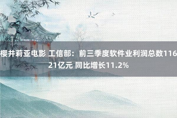 樱井莉亚电影 工信部：前三季度软件业利润总数11621亿元 同比增长11.2%