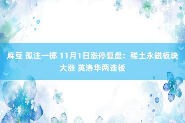 麻豆 孤注一掷 11月1日涨停复盘：稀土永磁板块大涨 英洛华两连板