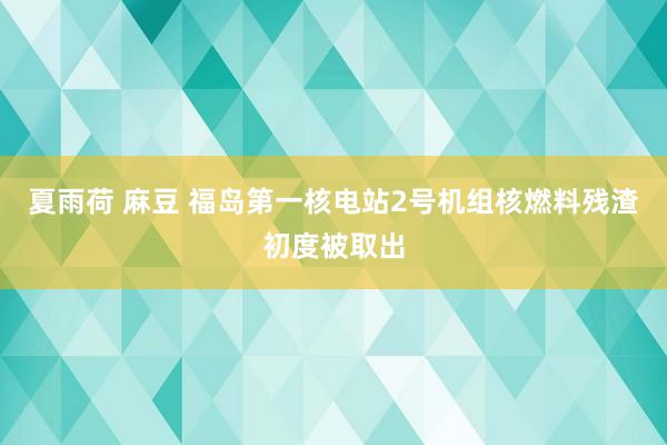 夏雨荷 麻豆 福岛第一核电站2号机组核燃料残渣初度被取出