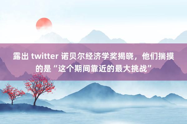 露出 twitter 诺贝尔经济学奖揭晓，他们揣摸的是“这个期间靠近的最大挑战”