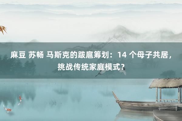 麻豆 苏畅 马斯克的跋扈筹划：14 个母子共居，挑战传统家庭模式？