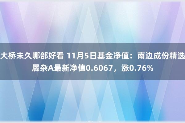 大桥未久哪部好看 11月5日基金净值：南边成份精选羼杂A最新净值0.6067，涨0.76%