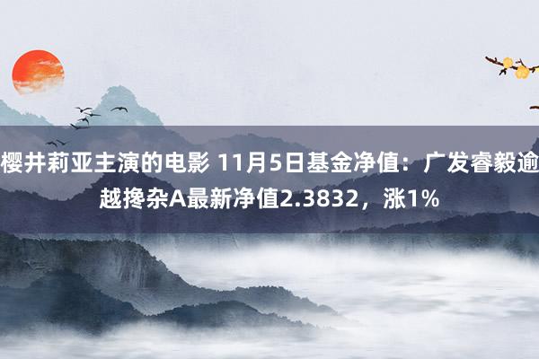 樱井莉亚主演的电影 11月5日基金净值：广发睿毅逾越搀杂A最新净值2.3832，涨1%