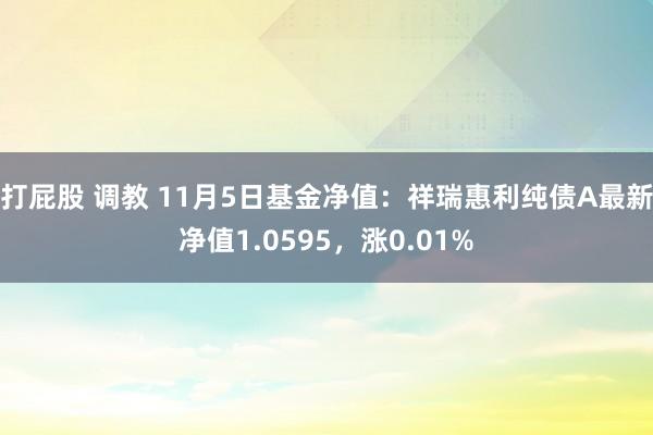 打屁股 调教 11月5日基金净值：祥瑞惠利纯债A最新净值1.0595，涨0.01%