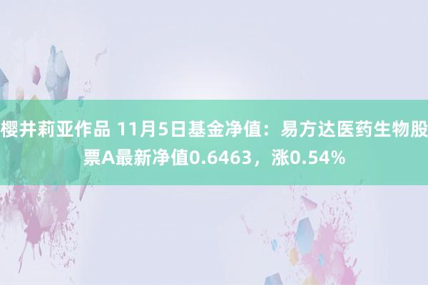 樱井莉亚作品 11月5日基金净值：易方达医药生物股票A最新净值0.6463，涨0.54%