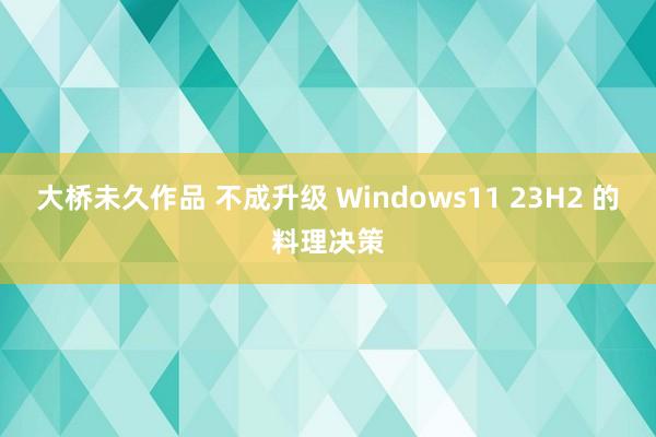 大桥未久作品 不成升级 Windows11 23H2 的料理决策