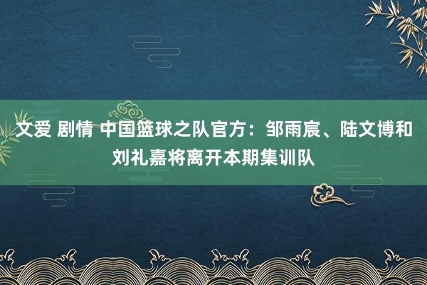 文爱 剧情 中国篮球之队官方：邹雨宸、陆文博和刘礼嘉将离开本期集训队