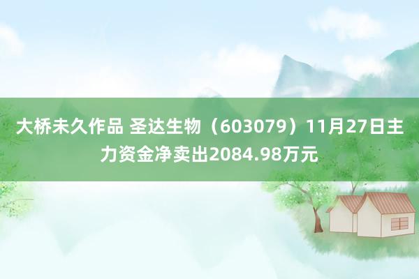 大桥未久作品 圣达生物（603079）11月27日主力资金净卖出2084.98万元