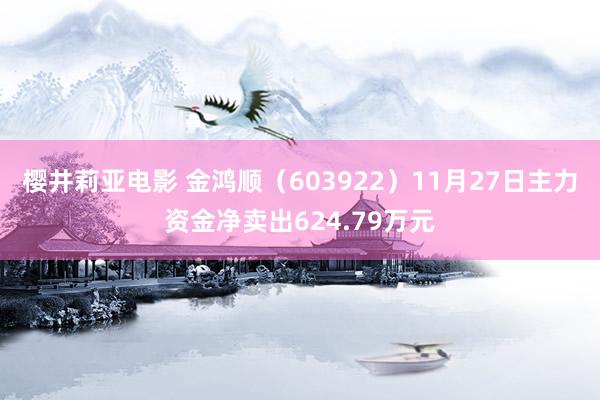 樱井莉亚电影 金鸿顺（603922）11月27日主力资金净卖出624.79万元