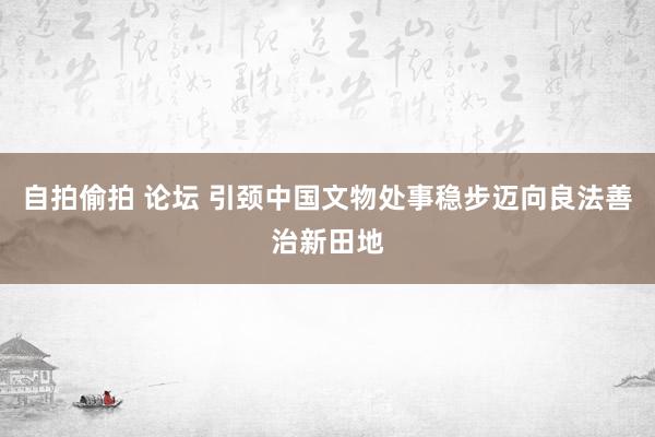 自拍偷拍 论坛 引颈中国文物处事稳步迈向良法善治新田地