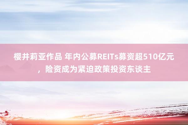 樱井莉亚作品 年内公募REITs募资超510亿元，险资成为紧迫政策投资东谈主